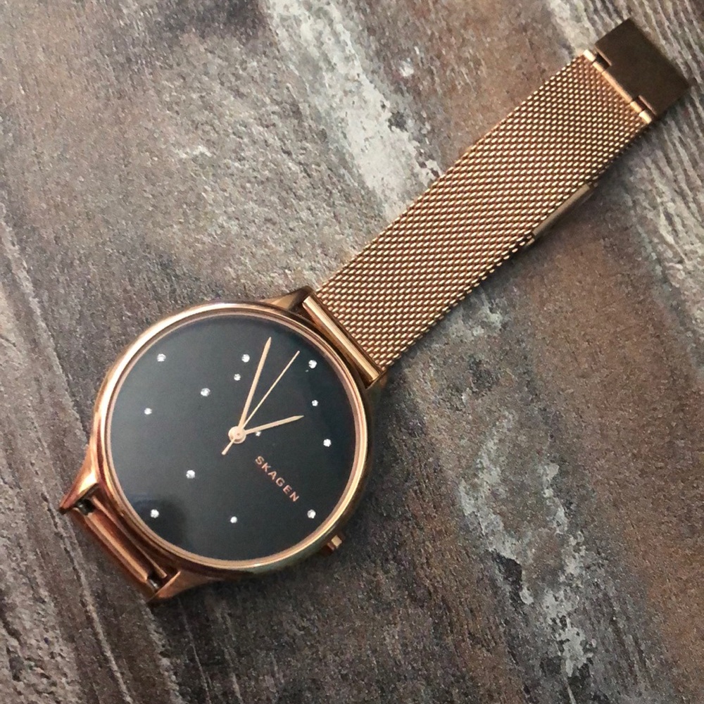 Skagen Watch